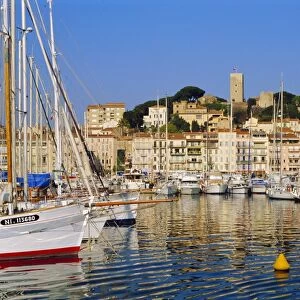 The Port, the Quay St. Pierre and the Suquet, Cannes, Alpes Maritime, France