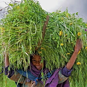 Portait of local girl carrying a large bundle of wheat and yellow Meskel flowers