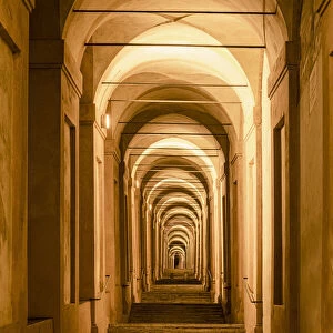 The porticoes of Bologna, the longest in the world, night view of the arches towards