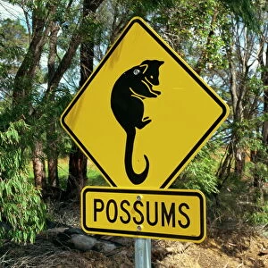 Possums road sign near Dunsborough, Western Australia, Australia, Pacific