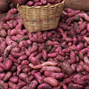 Potatoes for sale at market, Ipiales, Colombia, South America