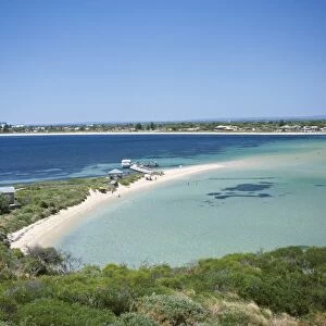 Protected bird sanctuary, Shoalwater Marine Park, Penguin Island, Perth