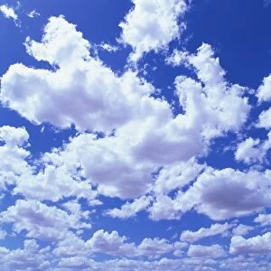 Puffy white cumulus clouds in blue skies over Regans Ford, Western Australia, Pacific