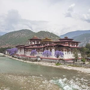 The Punakha Dzong (Pungtang Dechen Photrang Dzong) is the administrative centre of