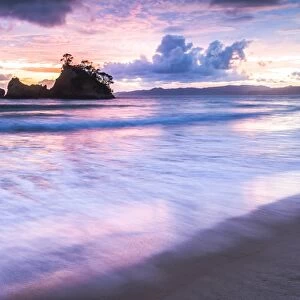 Pungapunga Island at Whangapoua Beach at sunrise, Coromandel Peninsula, North Island