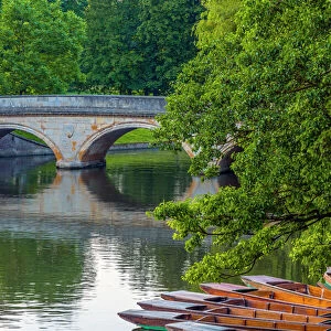 Punts on the River Cam, The Backs, Cambridge, Cambridgeshire, England, United Kingdom