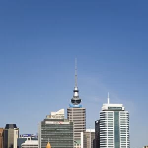Queens Wharf with skyscrapers in Central Business District, Auckland