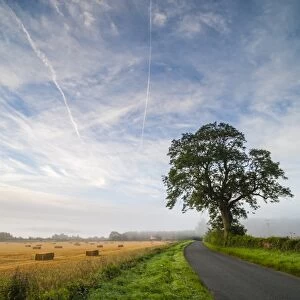Quiet country road, Longborough, The Cotswolds, Gloucestershire, England, United Kingdom, Europe