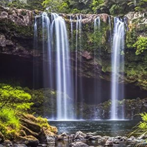 Rainbow Falls, a waterfall at Kerikeri in the Bay of Islands, Northland Region, North Island