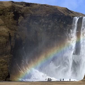 Rainbow over Skogafoss waterfall, South Iceland, Iceland, Polar Regions