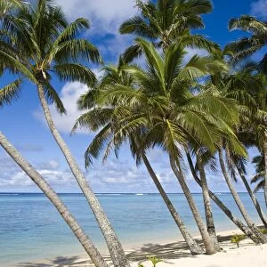 Rarotonga, Cook Islands, South Pacific, Pacific