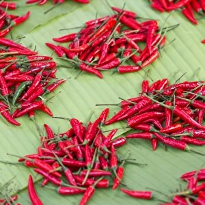 Red chillies on sale in town market, Kengtung (Kyaingtong), Shan State, Myanmar (Burma), Asia