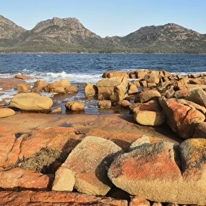 Red lichen on rocks, The Hazards and Coles Bay, Freycinet National Park