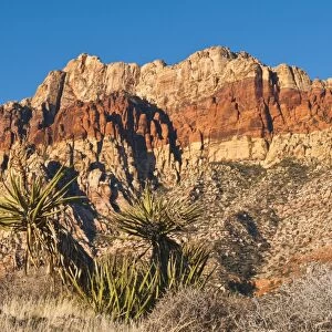 Red Rock Canyon outside Las Vegas, Nevada, United States of America, North America