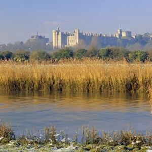 Reeds beside the River Arun, with Arundel Castle, the ancestral home of the Dukes of Norfolk beyond
