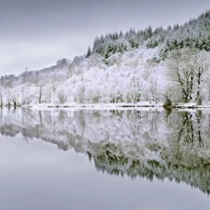 Reflections on Loch Chon in winter, Aberfoyle, Stirling, The Trossachs, Scotland