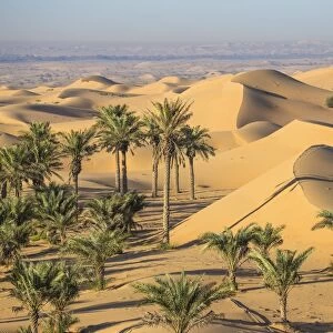 Remah Desert, Al Ain, Abu Dhabi, United Arab Emirates, Middle East