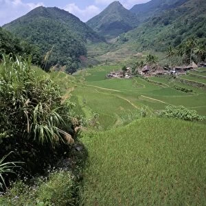 Rice fields near the Ifugao village of Banga-An