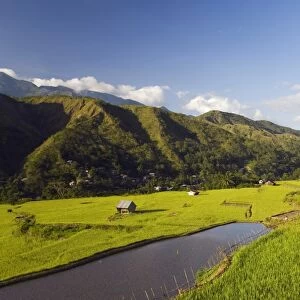 Rice terraces in Luplula Village