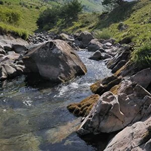 Rio Aragon Subordan in the upper Hecho valley in summer, Huesca, Aragon, Spain, Europe