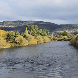 River Derwent, Bushy Park, Tasmania, Australia, Pacific