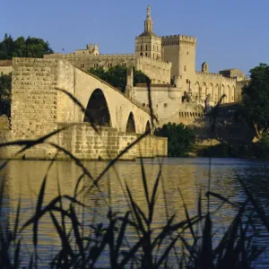 The River Rhone at Avignon, Provence, France