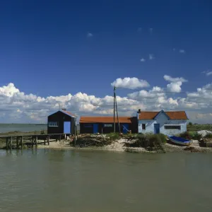 River Seudre, Le Tregarde, Charente Maritime, Poitou-Charentes, France, Europe