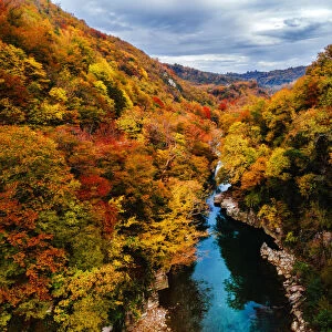 A river surrounded with autumn colors in Jikha, Samegrelo, Georgia (Sakartvelo)