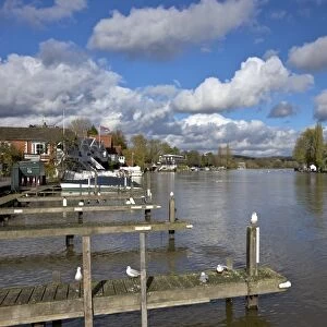 Riverside view in winter sunshine, Henley-on-Thames, Oxfordshire, England, United Kingdom, Europe