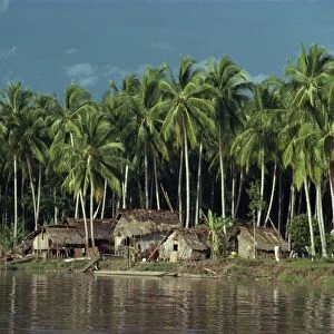 A riverside village beneath palm trees in the Gulf