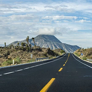 Road leading to El Pizarro volcano, Puebla, Mexico, North America