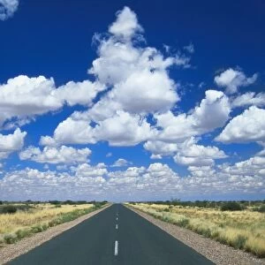 Road Leading to the Hoizon, Namibia, Africa