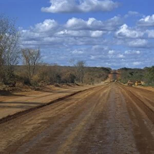 Empty road across Sertao, Bahia Eastern Highlands, Brazil, South America
