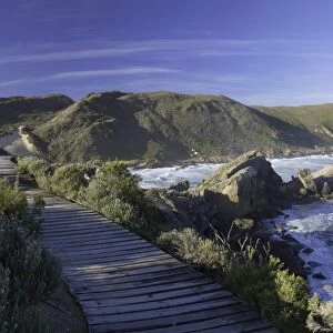 Robberg Nature Reserve, Plettenberg Bay, Western Cape, South Africa, Africa