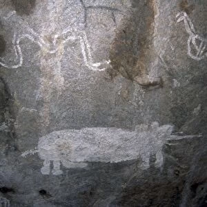 Rock art, white paintings, elephant and rain snake, Tsodilo Hills, UNESCO World Heritage Site