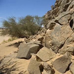 Rock carvings, Wadi Maknusah, Libya, North Africa, Africa