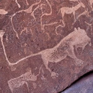 Rock engravings, UNESCO World Heritage Site, Twyfelfontein, Namibia, Africa