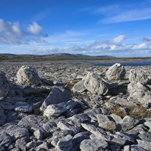 Rock Forest, The Burren, , County Clare, Munster, Republic of Ireland, Europe