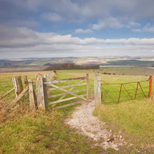 The rolling hills of the South Downs National Park near Brighton, Sussex, England, United Kingdom, Europe