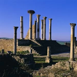 Roman archaeological site