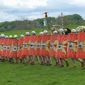 Roman soldiers of Ermine Street Guard, in line abreast with shields and stabbing swords