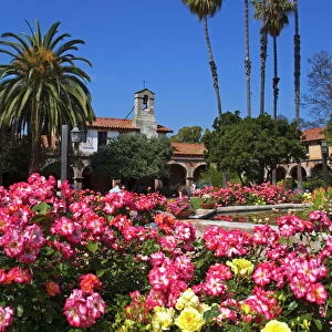 Roses, Central Courtyard, Mission San Juan Capistrano, Orange County, California