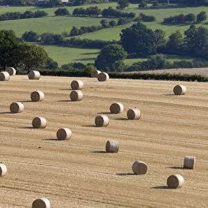 Round hay bales and Cotswold farmland at Wadfield farm, Winchcombe, Cotswolds, Gloucestershire
