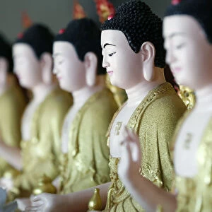Row of Buddha statues, Hoi Tuong Te Nguoi Hoa Buddhist Chinese temple, Phu Quoc, Vietnam