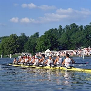 Royal Regatta, Henley on Thames, Oxfordshire, England, United Kingdom, Europe