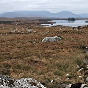 Rugged landscape of Connemara with peat bogs, granite, loughs and distant mountains, Connemara, County Galway, Connacht, Republic of Ireland, Europe