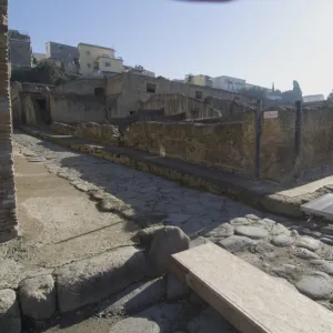 The ruins of Herculaneum