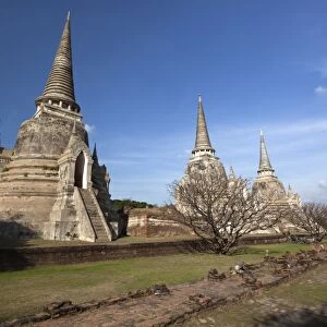 Ruins of Wat Phra Sri Sanphet, Ayutthaya, UNESCO World Heritage Site, Ayutthaya Province, Thailand, Southeast Asia, Asia