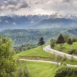 Rural countryside and Carpathian Mountains near Bran Castle at Pestera, Transylvania
