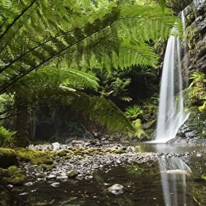Russell Falls, Mount Fields National Park, Tasmania, Australia, Pacific